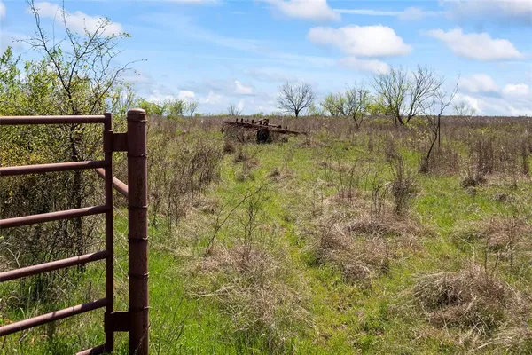 a view of a green field with an ocean
