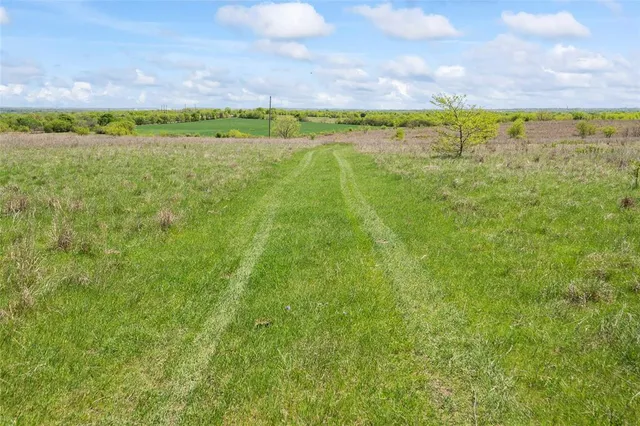 a view of a lush green field