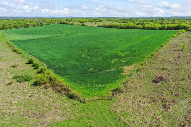 a view of a lush green field