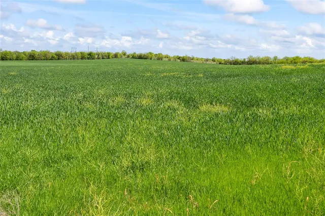a view of a field with an ocean view