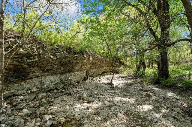 a bench is sitting in the middle of a forest