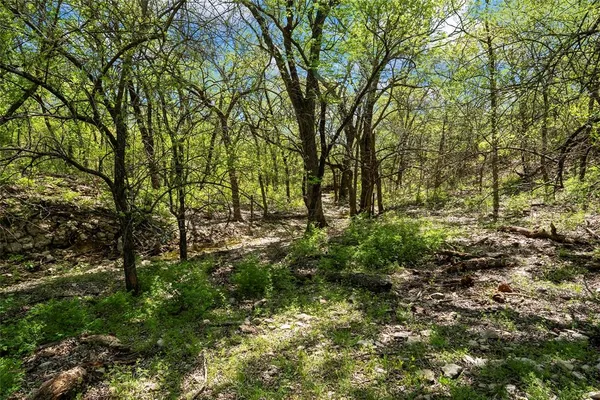 a view of outdoor space and trees