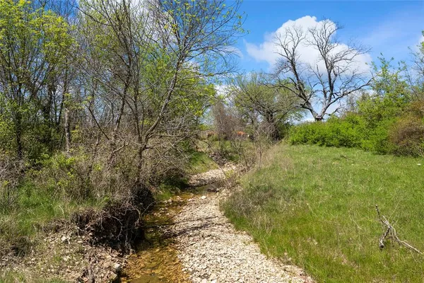 a view of lake with tree