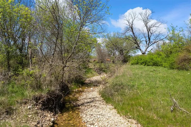 a view of lake with tree