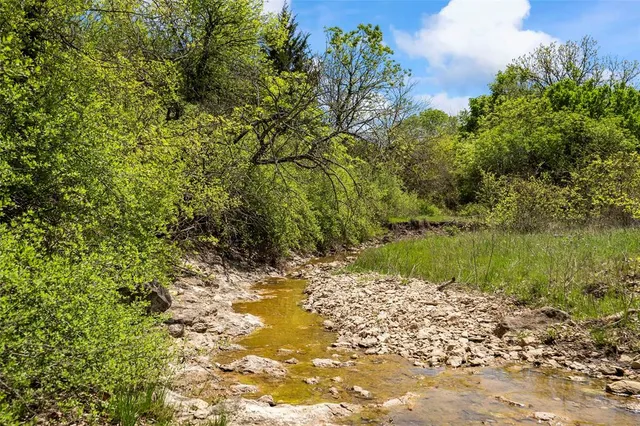 a view of a lush green forest with lots of trees