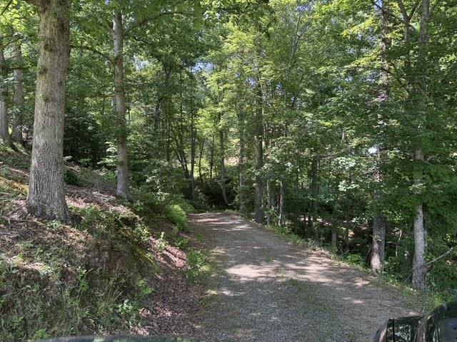 1131 Ada Street Blue Ridge, GA 30513 - Photo 7 of 22