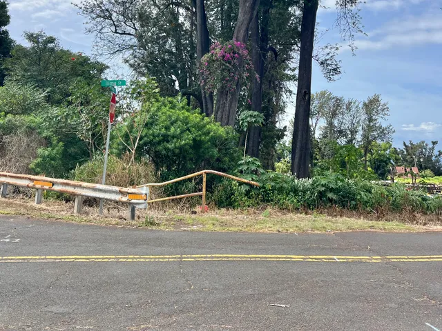 a view of a house with a small yard and large trees