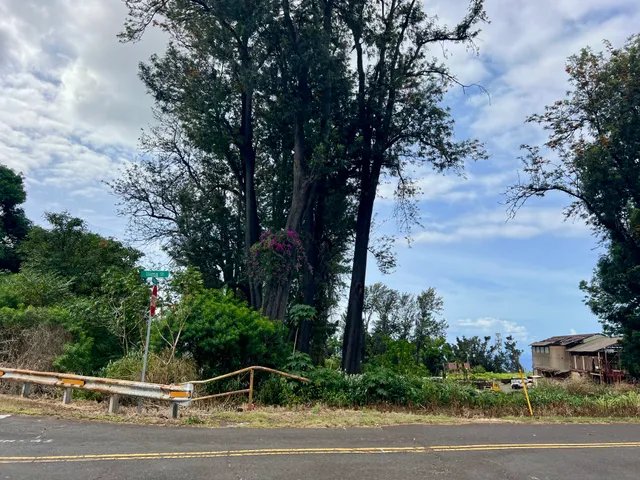 a view of a street with a big yard
