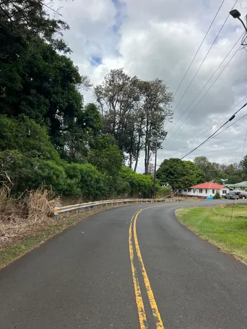 a view of a yard with plants and trees beside of it
