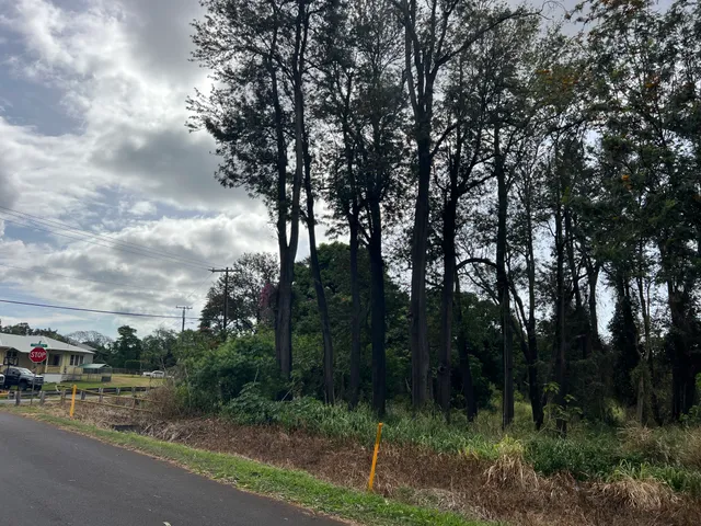 a view of a street both side of a house