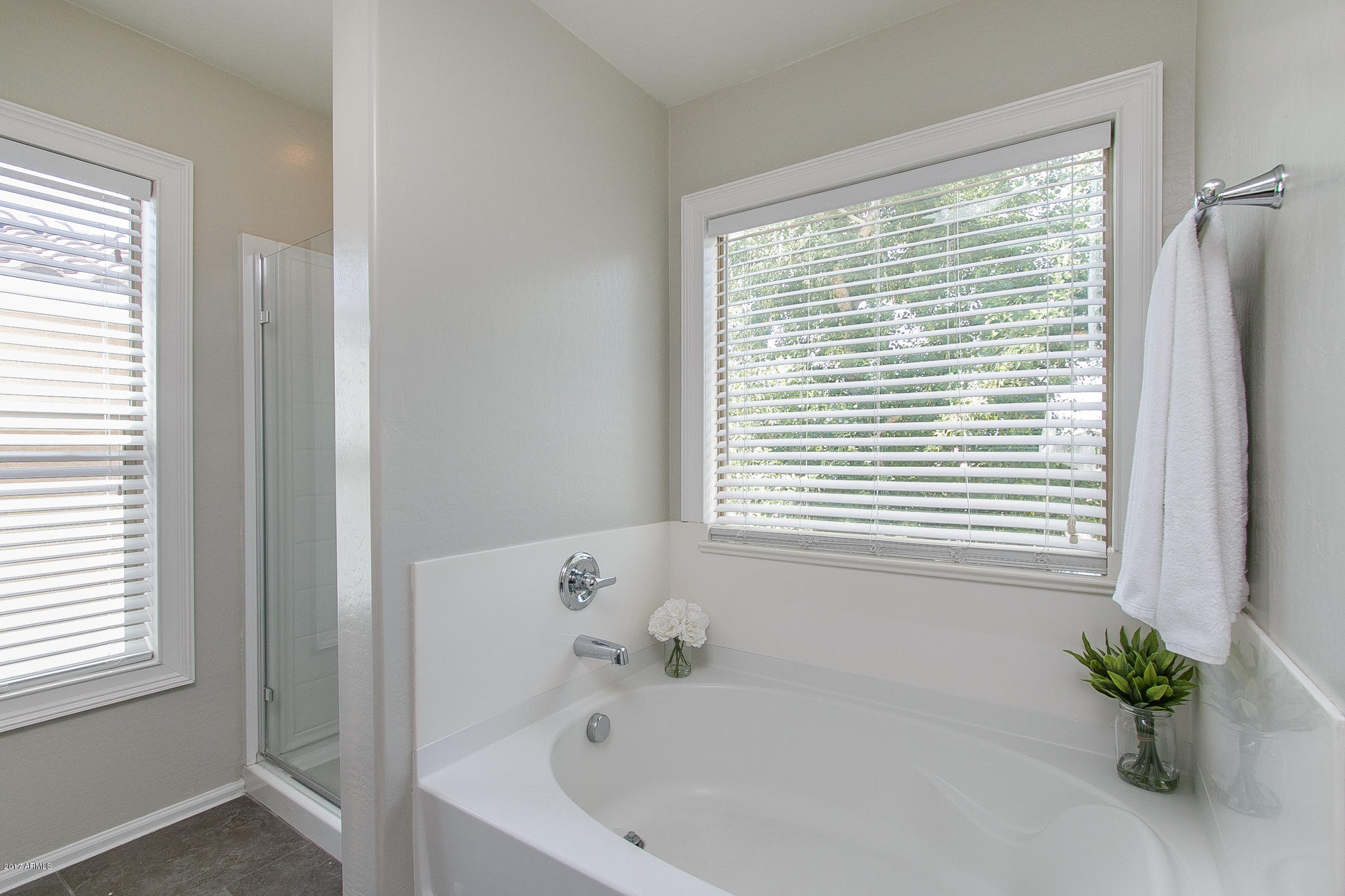 10923 West Elm Street Phoenix, AZ 85037 - Photo 18 of 37 18) MASTER BATH