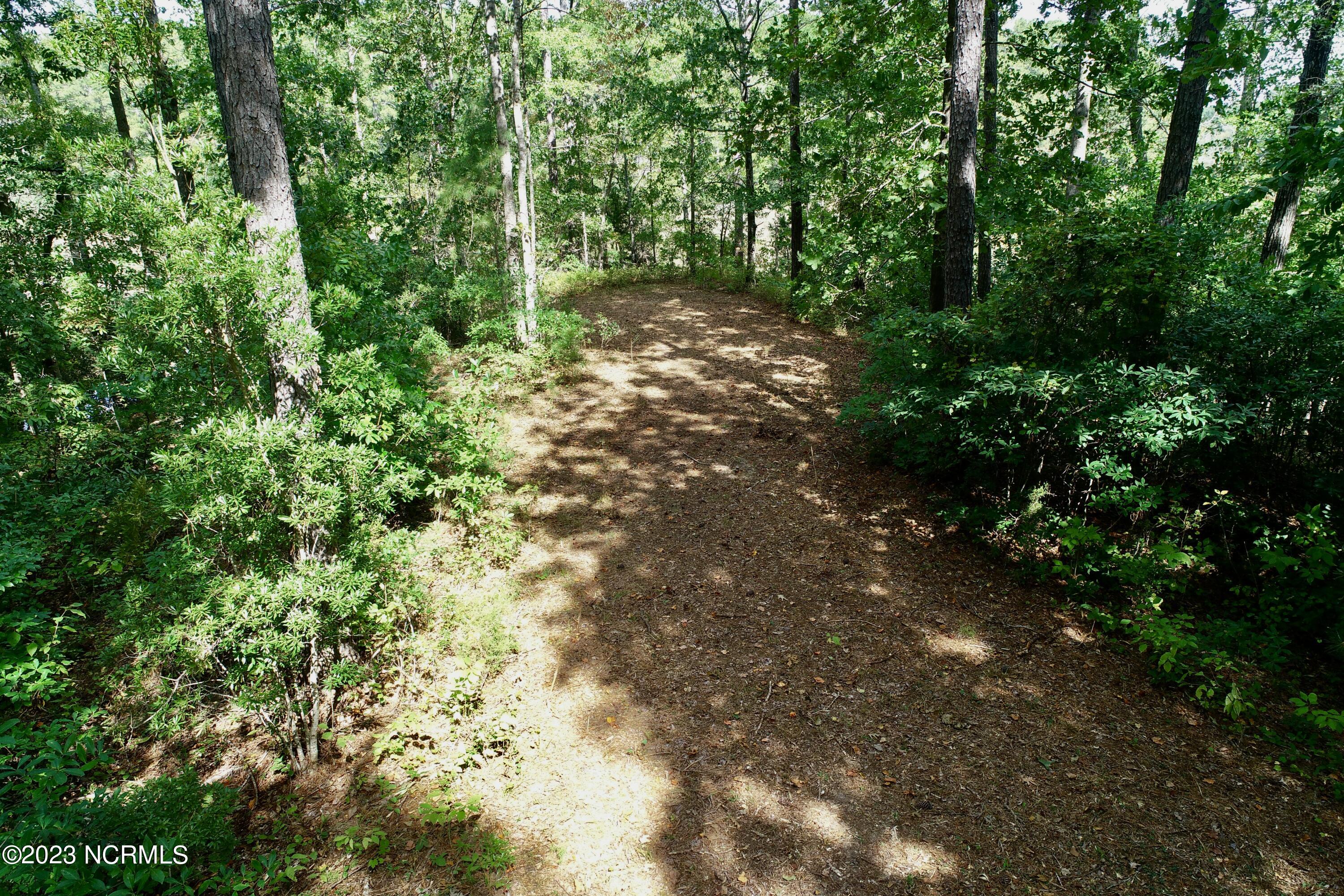 158 Fisher Turnpike Road Arapahoe, NC 28510 - Photo 17 of 27 Lot