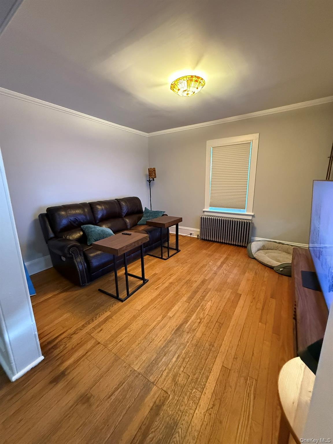 22 Church Street Beacon, NY 12508 - Photo 5 of 25 a living room with furniture and a wooden floor