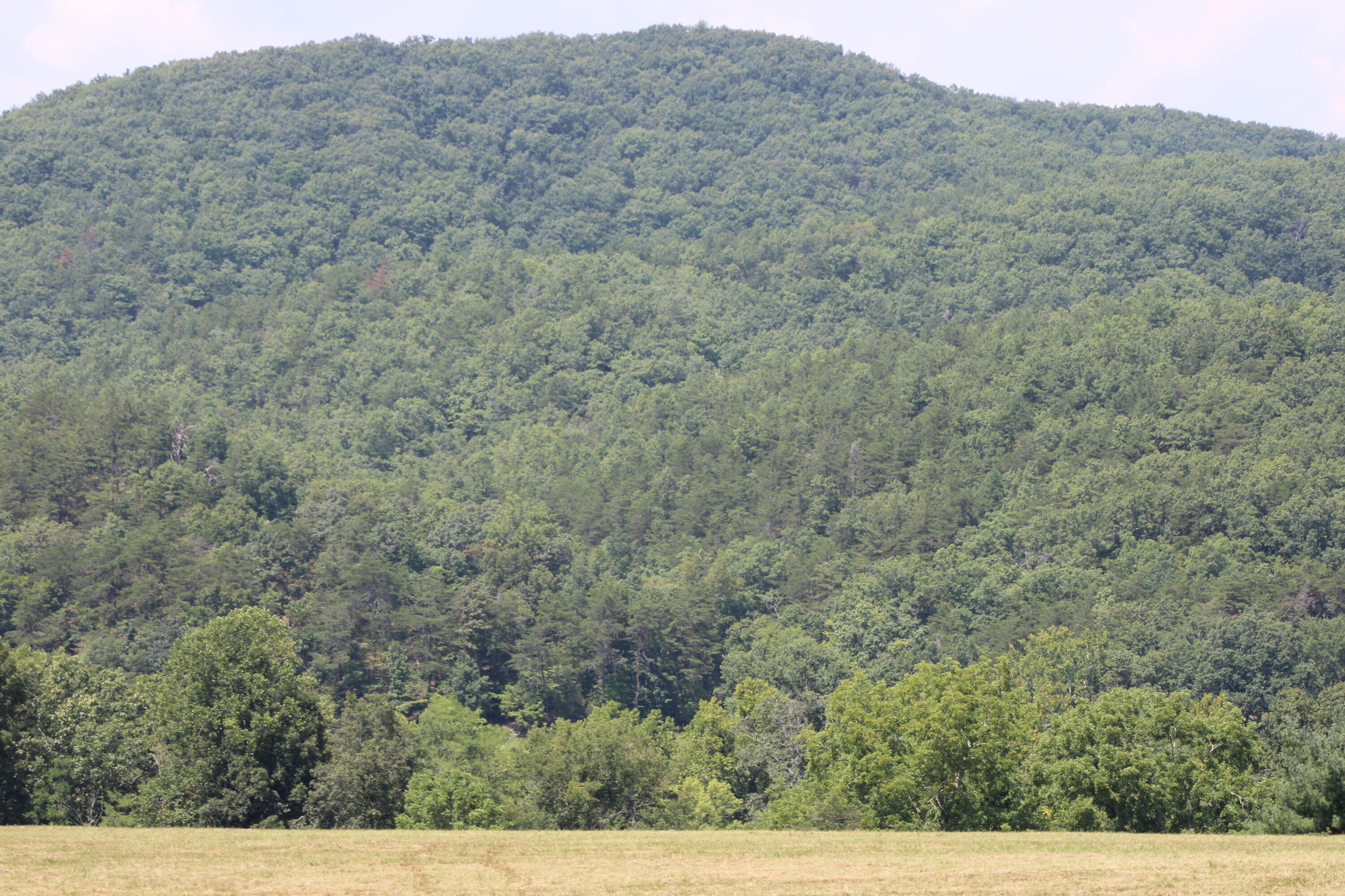 2816 Johns Creek Road New Castle, VA 24127 - Photo 23 of 96 IMG_0124