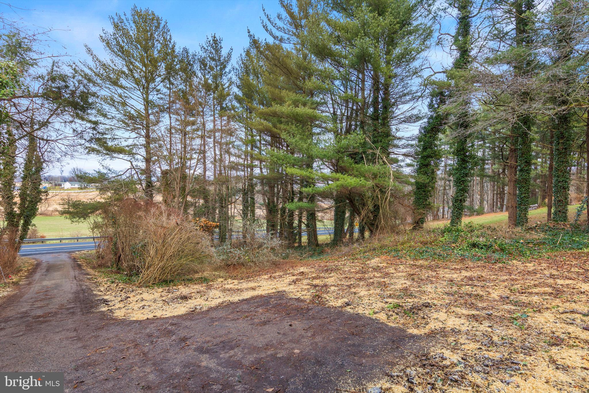 712 St Marys Road Pylesville, MD 21132 - Photo 33 of 43 a view of a yard with trees