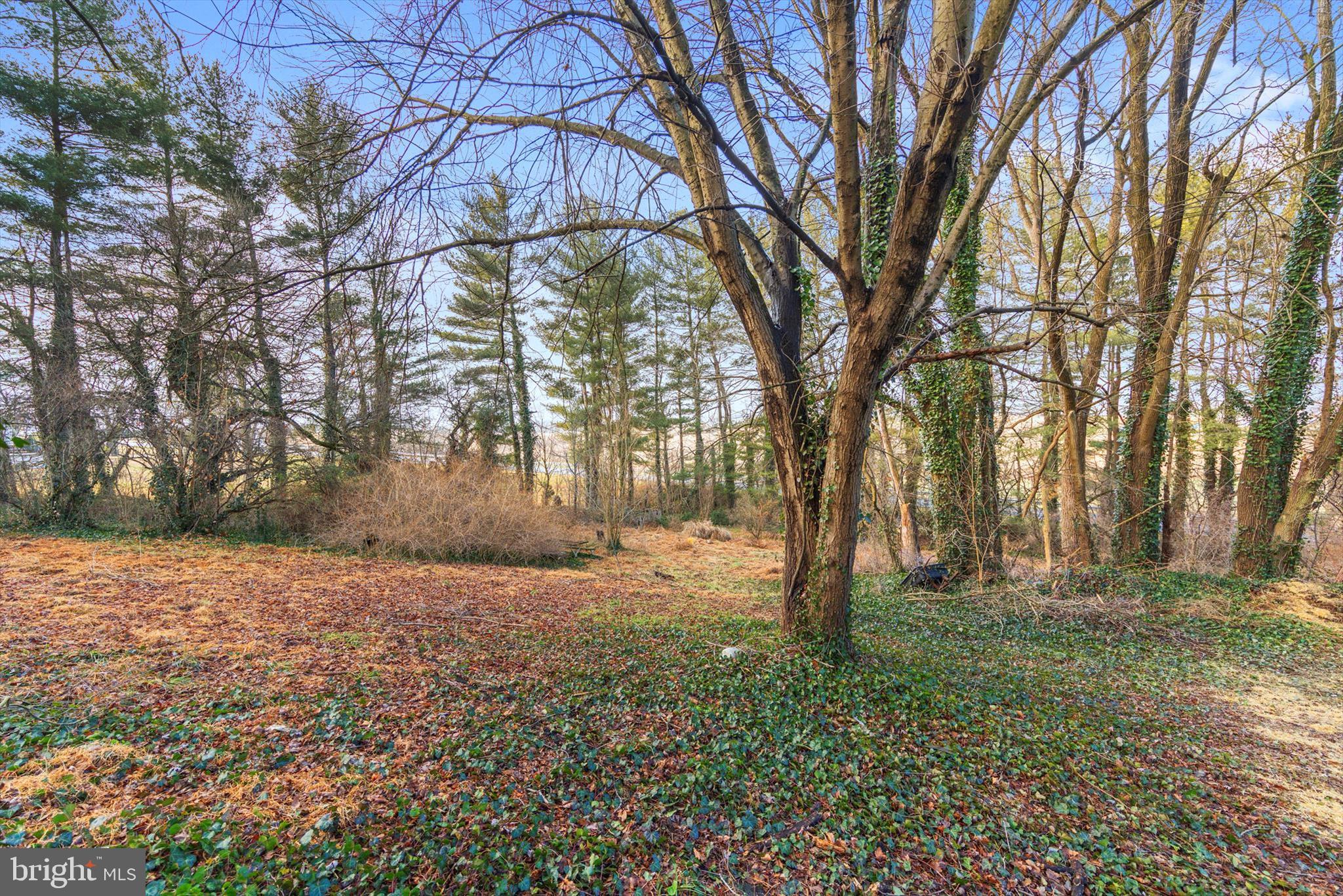 712 St Marys Road Pylesville, MD 21132 - Photo 37 of 43 a backyard of a house with lots of green space