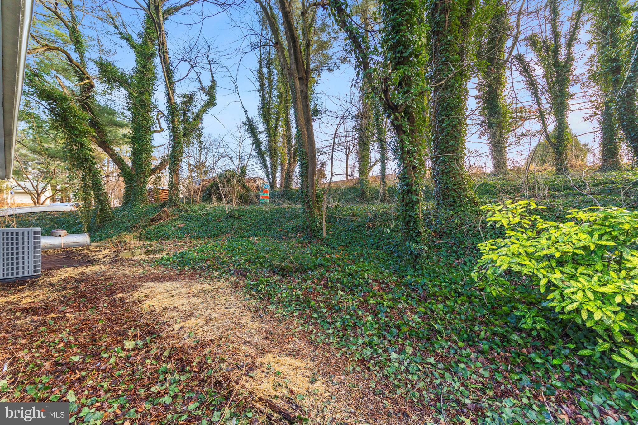 712 St Marys Road Pylesville, MD 21132 - Photo 39 of 43 a view of a yard with plants and trees
