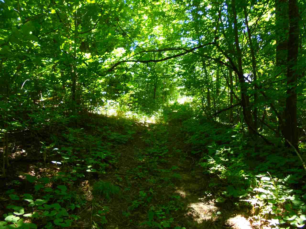 6331 Highway 65 Hazleton, IN 47640 - Photo 11 of 15