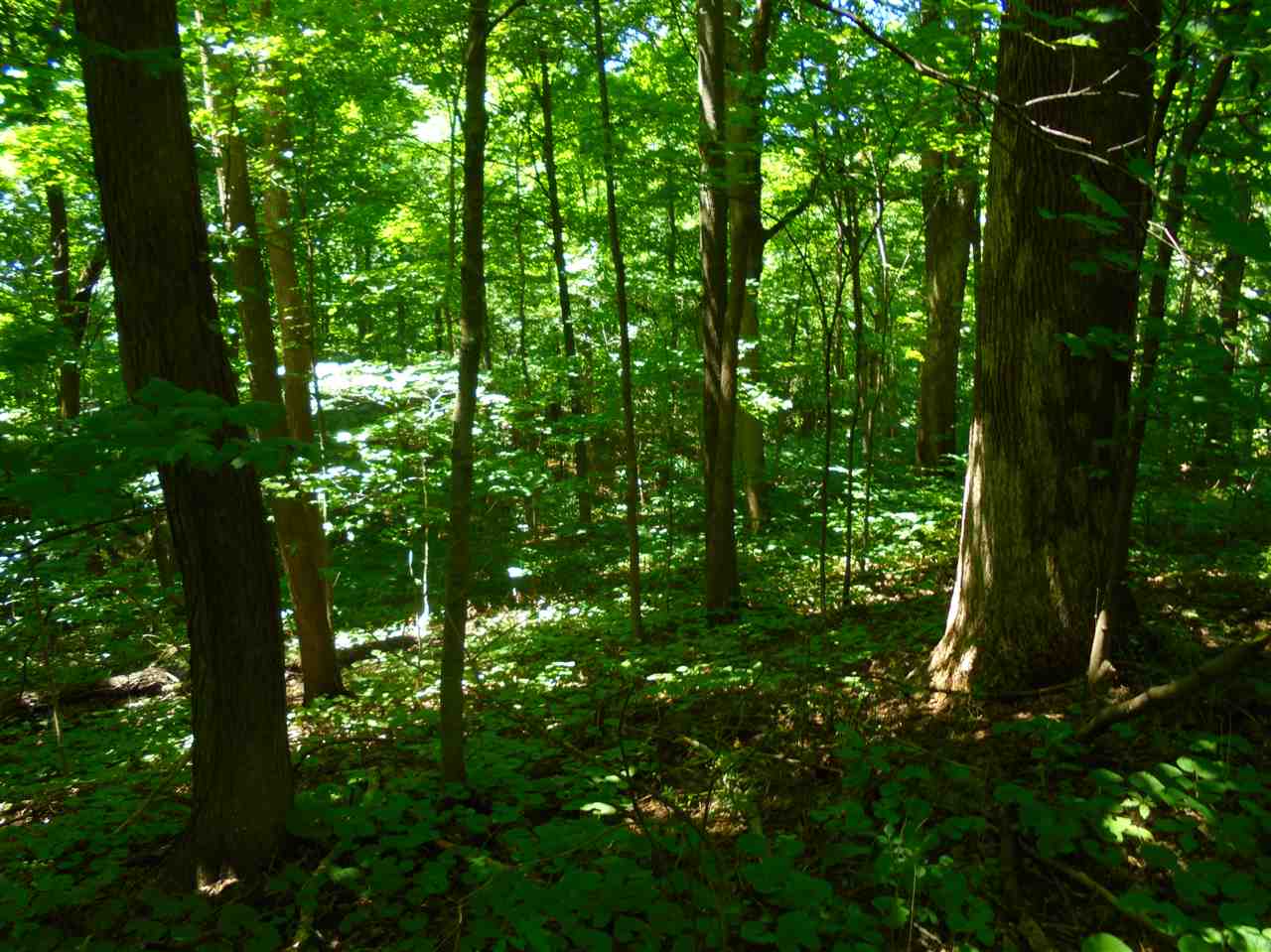 6331 Highway 65 Hazleton, IN 47640 - Photo 12 of 15