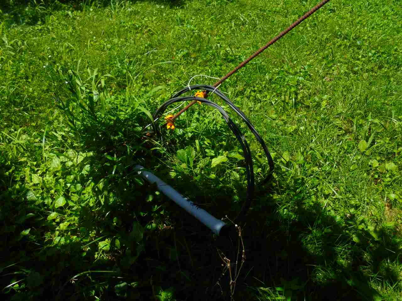 6331 Highway 65 Hazleton, IN 47640 - Photo 13 of 15