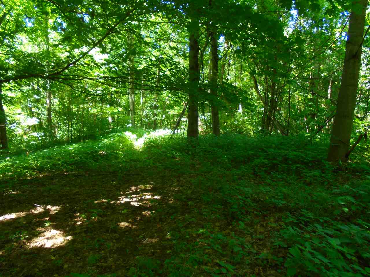 6331 Highway 65 Hazleton, IN 47640 - Photo 7 of 15