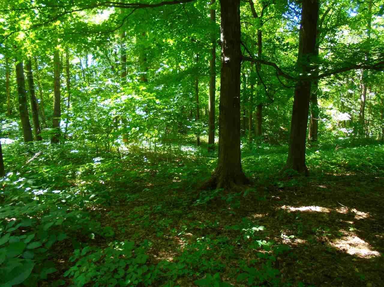 6331 Highway 65 Hazleton, IN 47640 - Photo 8 of 15