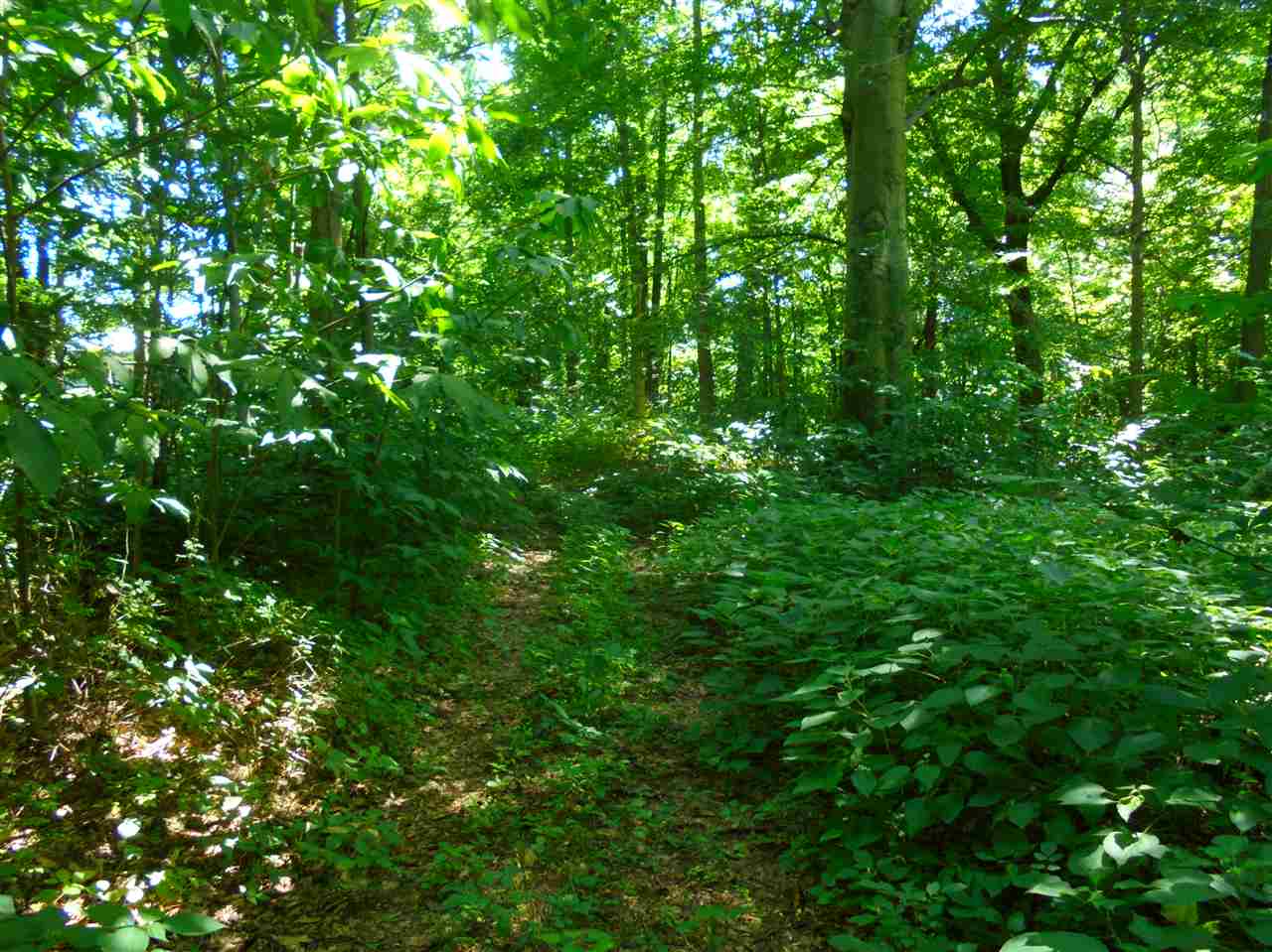 6331 Highway 65 Hazleton, IN 47640 - Photo 9 of 15