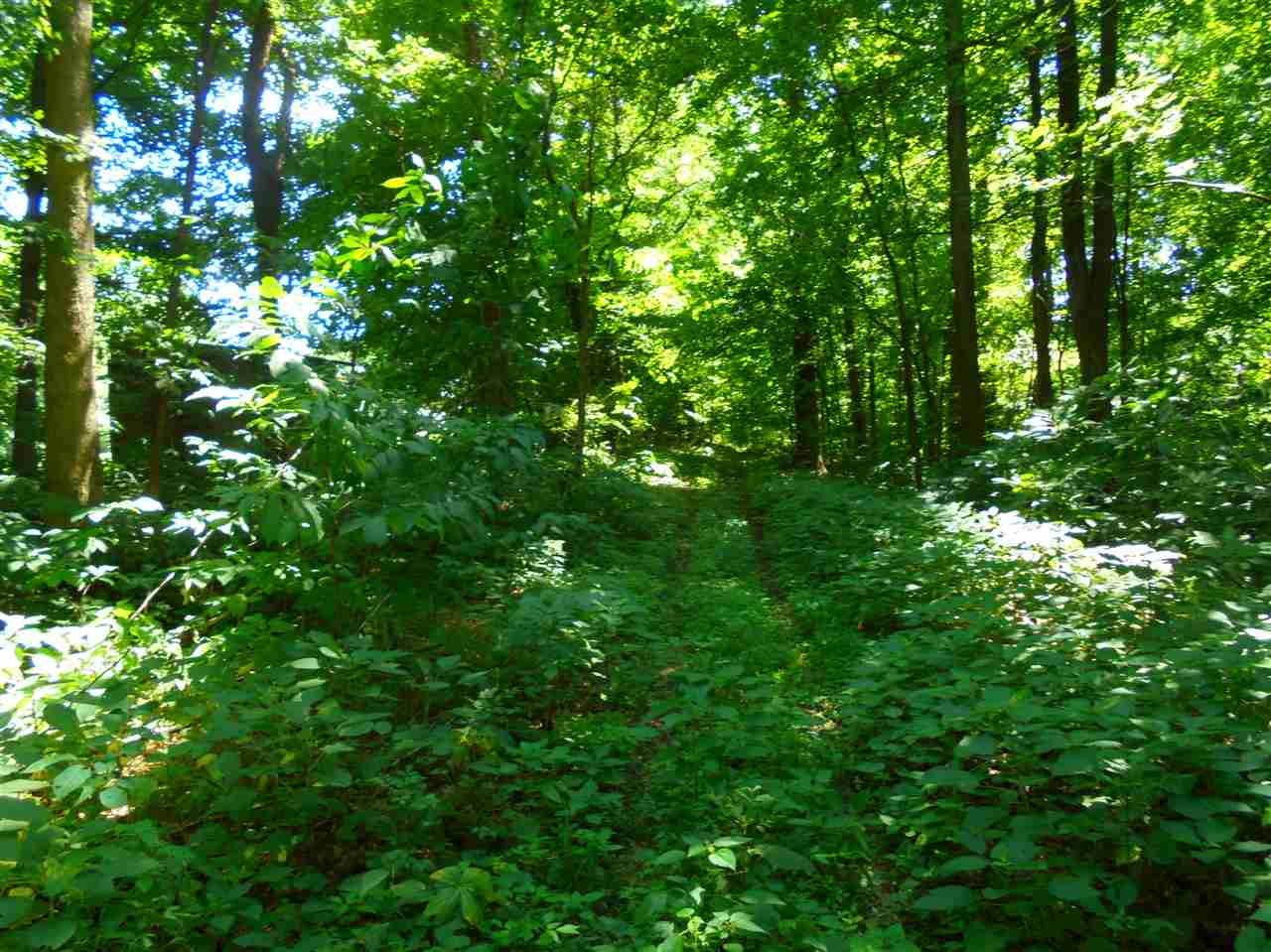 6331 Highway 65 Hazleton, IN 47640 - Photo 10 of 15