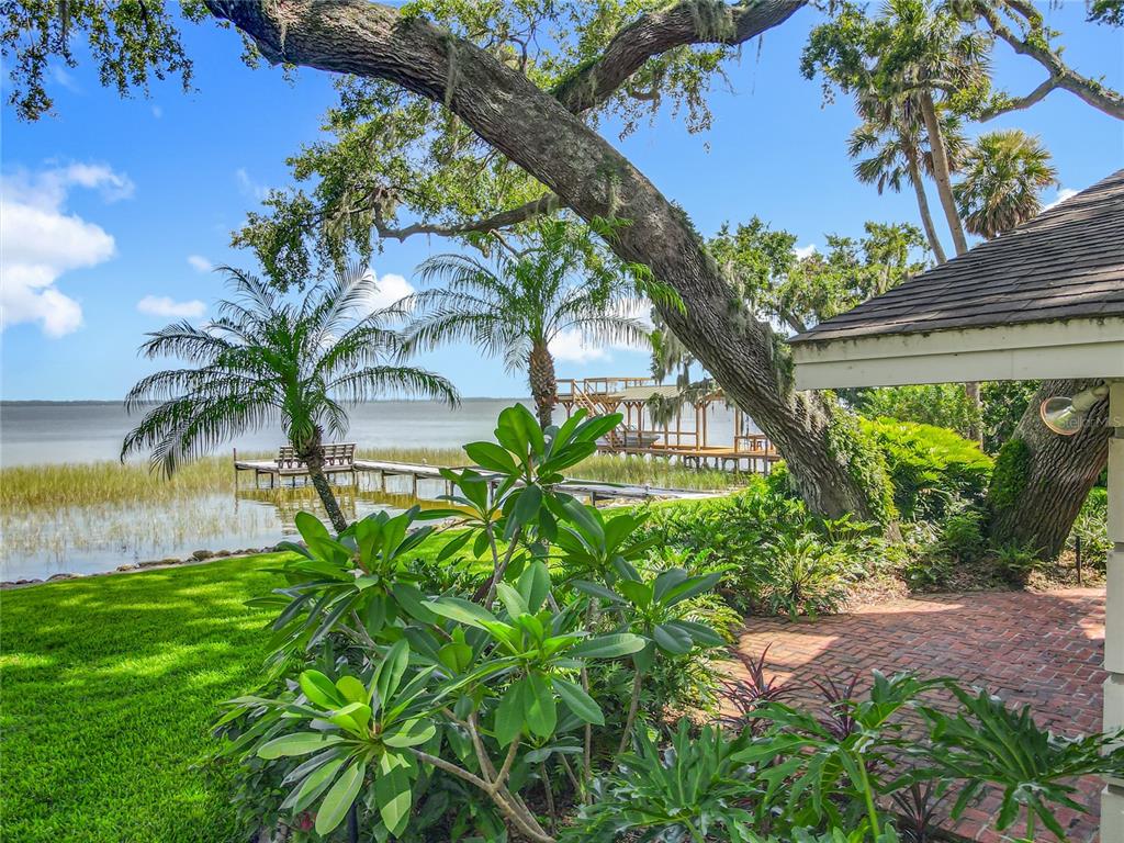 504 Banning Beach Road Tavares, FL 32778 - Photo 33 of 44 a view of a yard with a palm tree
