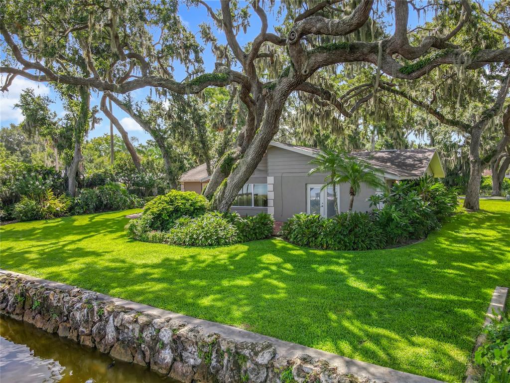 504 Banning Beach Road Tavares, FL 32778 - Photo 35 of 44 a view of a backyard with large trees