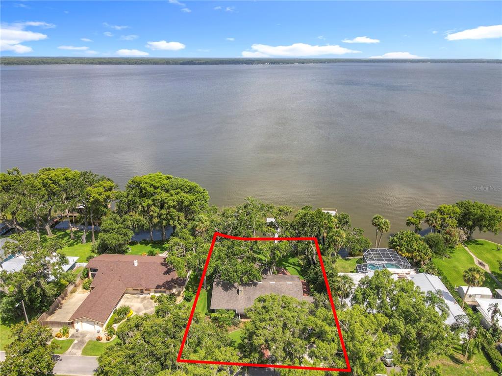 504 Banning Beach Road Tavares, FL 32778 - Photo 8 of 44 a view of a flower in a yard