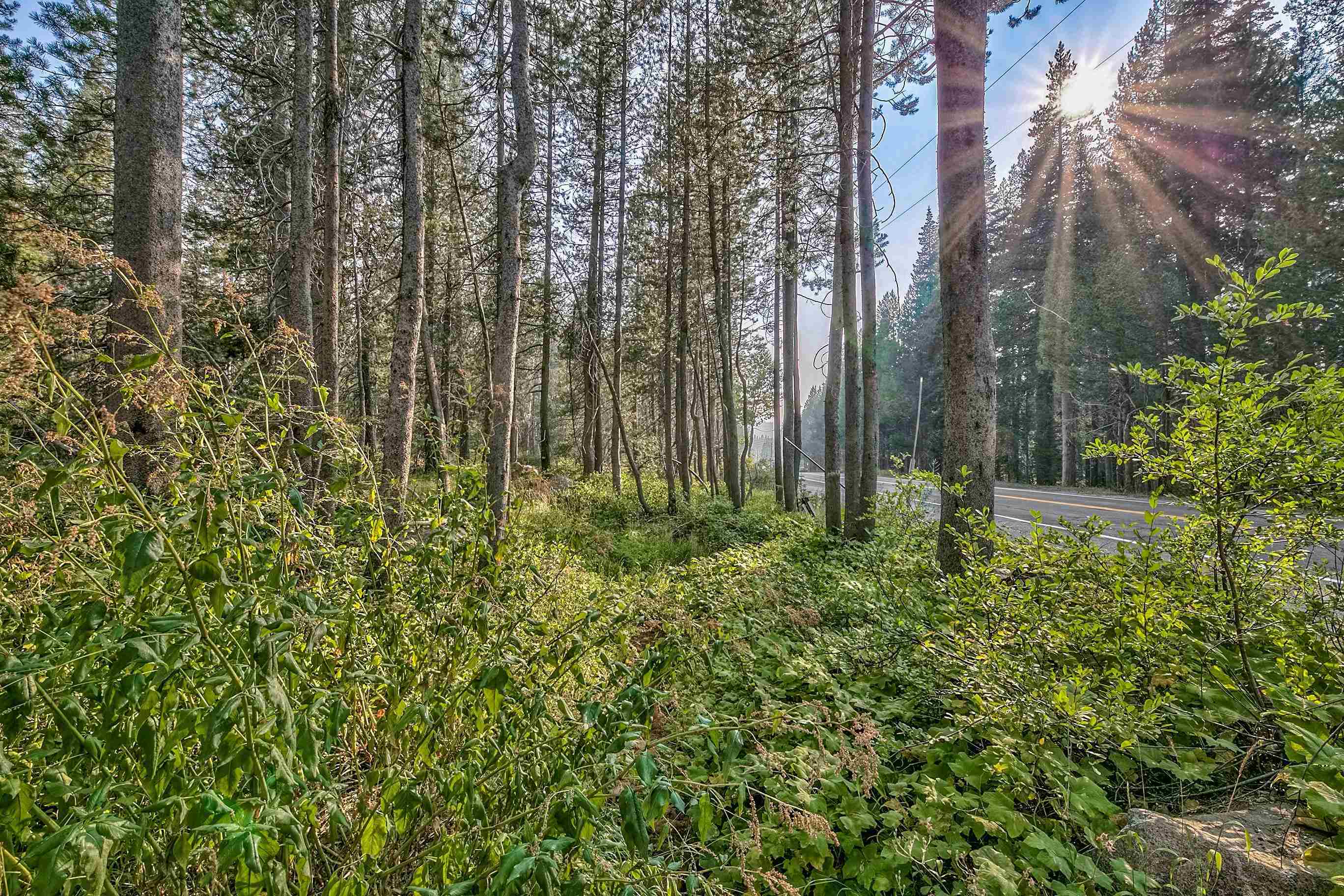 51357 Donner Pass Road Soda Springs, CA 95728 - Photo 12 of 17
