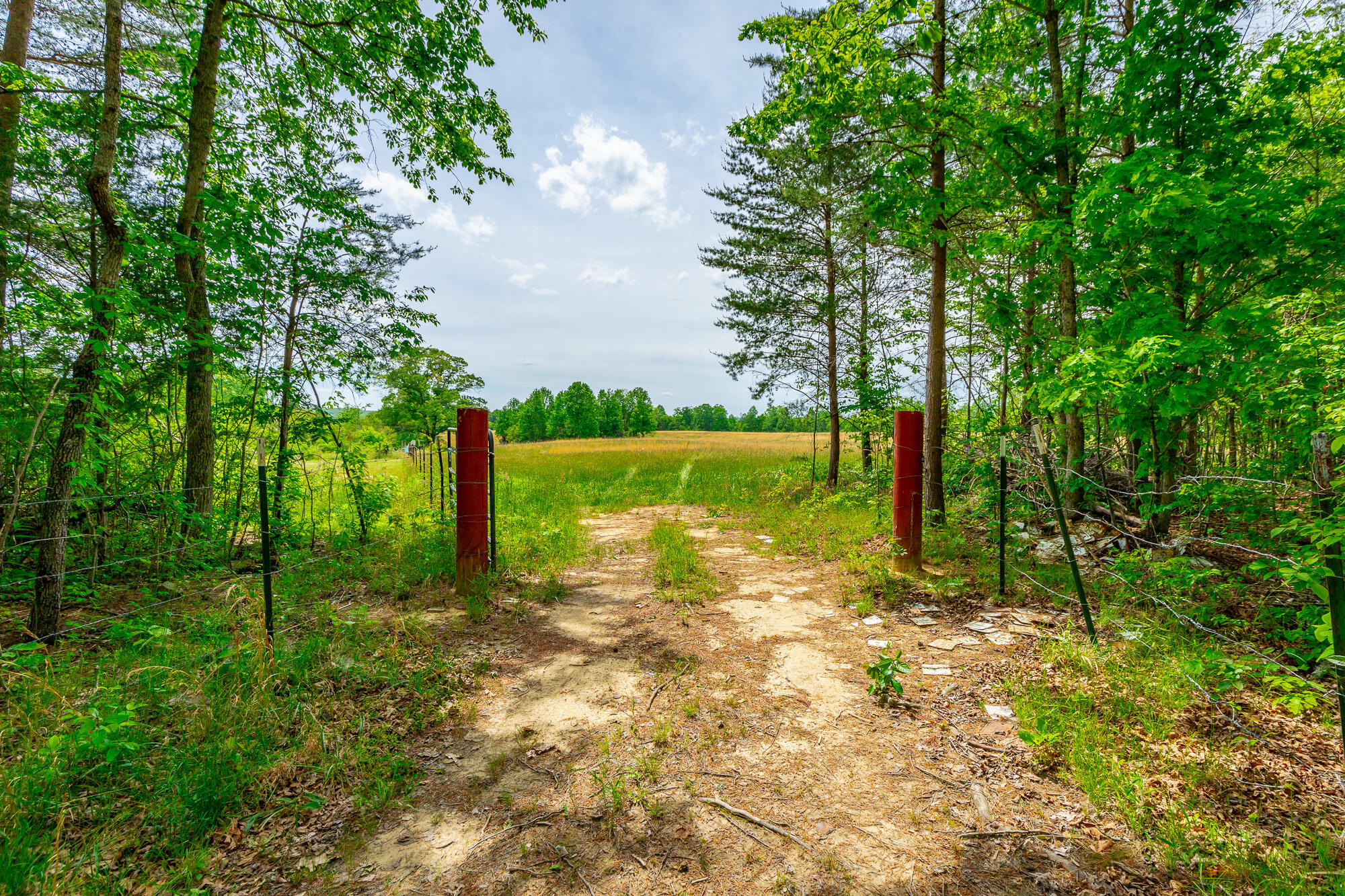 0 Ray Gadd Road Graysville, TN 37338 - Photo 62 of 109 Ray Gadd Road Lot HD-54