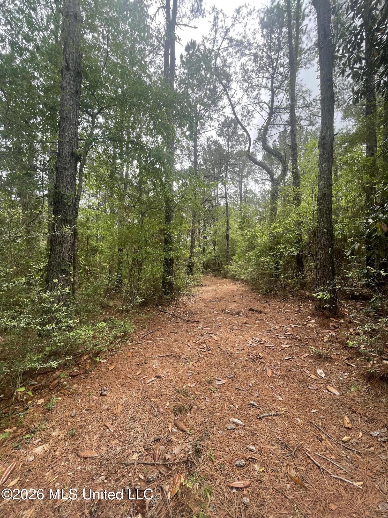 808 Big 4 Road Wiggins, MS 39577 - Photo 2 of 10 IMG_9735