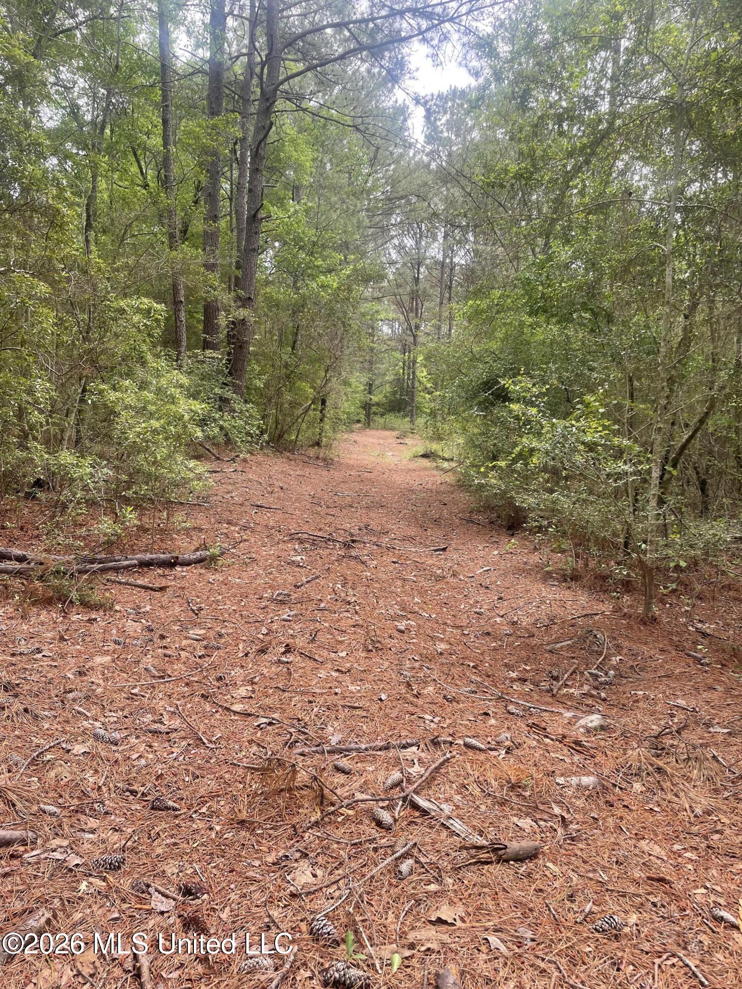 808 Big 4 Road Wiggins, MS 39577 - Photo 6 of 10 IMG_9739