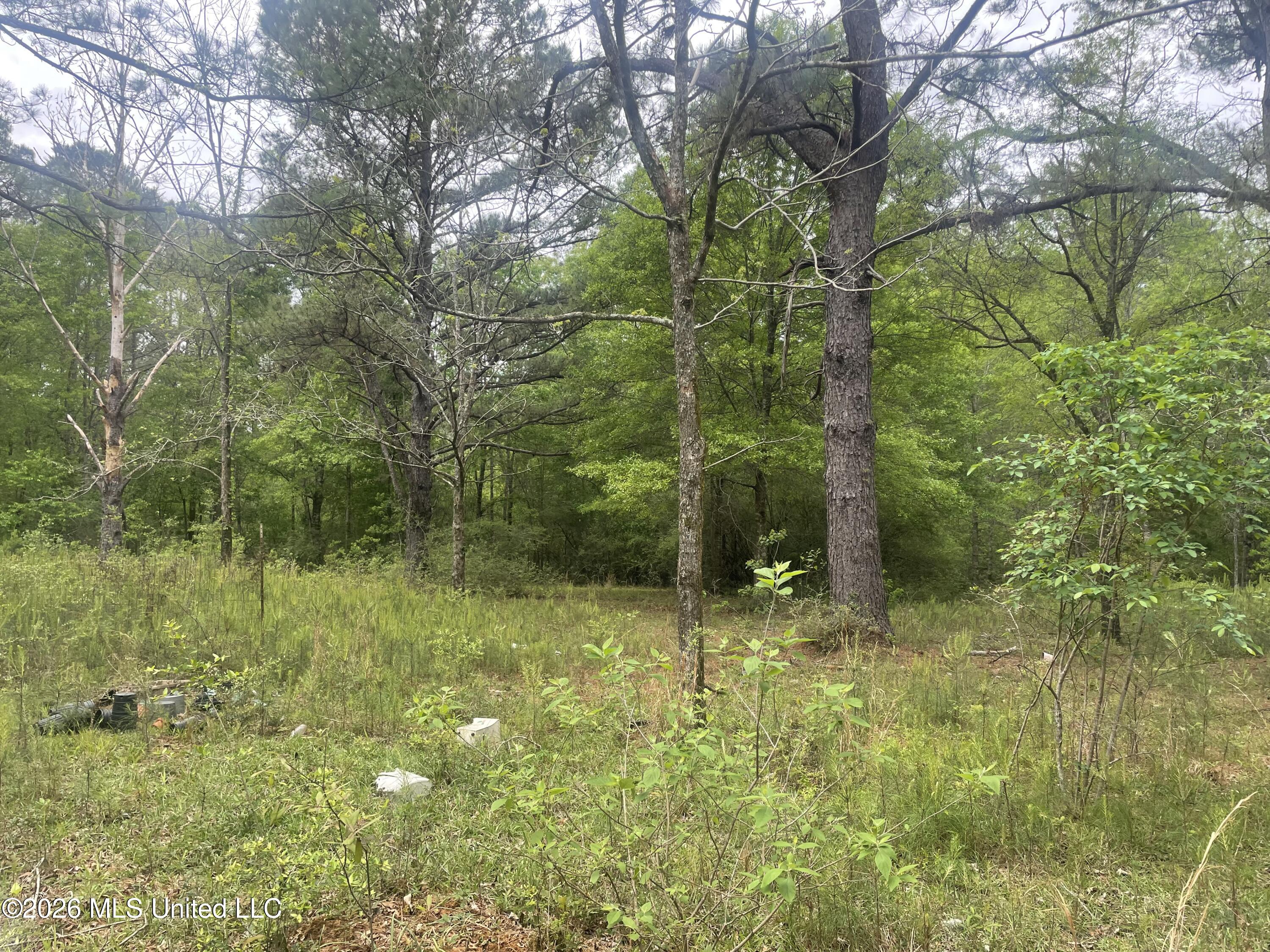 808 Big 4 Road Wiggins, MS 39577 - Photo 8 of 10 IMG_9741