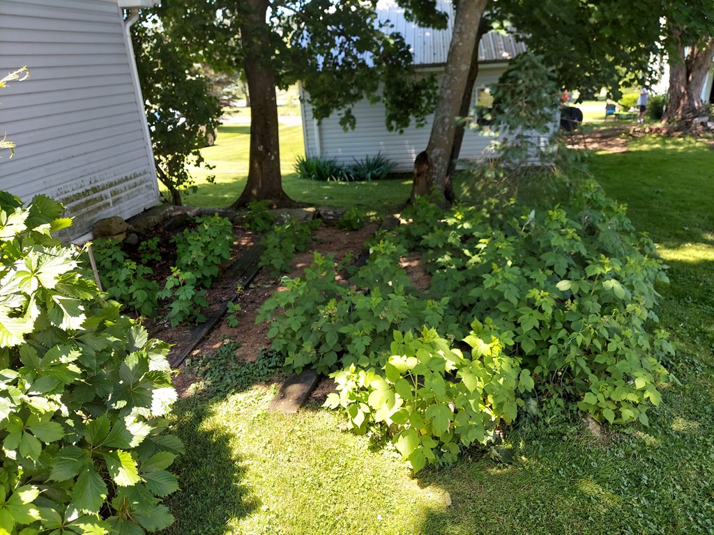 302 Marble Road Fryburg, PA 16326 - Photo 11 of 42 Gallery Image 11