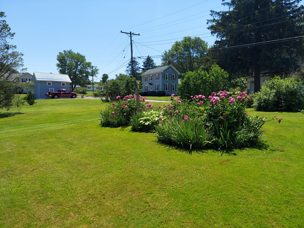 Gallery Image 6