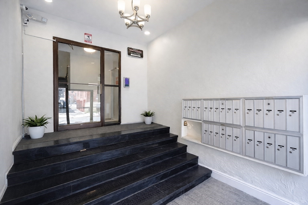 5 Royce Road, Unit 6 Boston, MA 02134 - Photo 3 of 16
