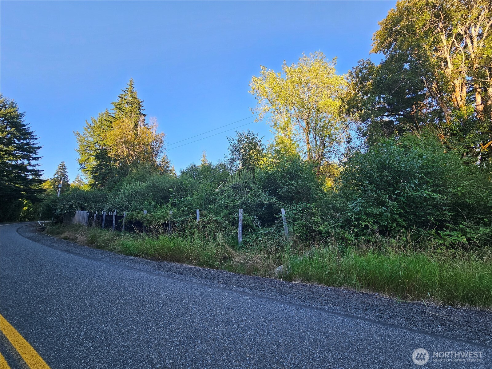236 Porter Creek Road Elma, WA 98541 - Photo 2 of 24 Gallery Image 2
