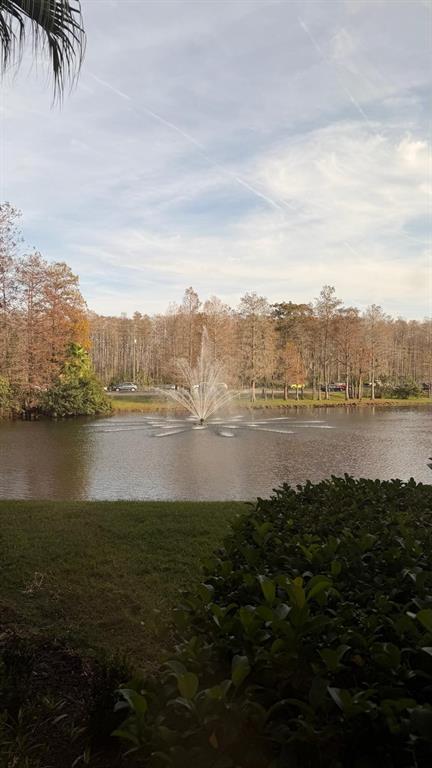 13584 Turtle Marsh Loop, Unit 113 Orlando, FL 32837 - Photo 3 of 29 a view of a lake with mountain
