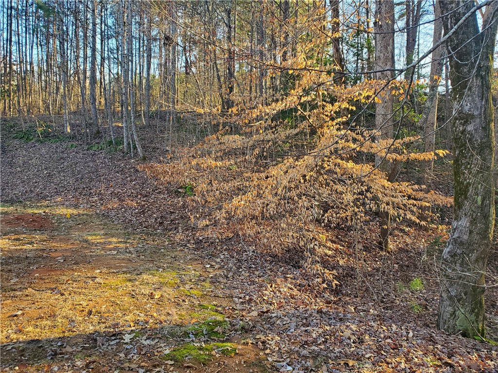 27-28 Talons Ridge Road Seneca, SC 29672 - Photo 2 of 8 2 Lots offered for one price on Talons Ridge Rd.