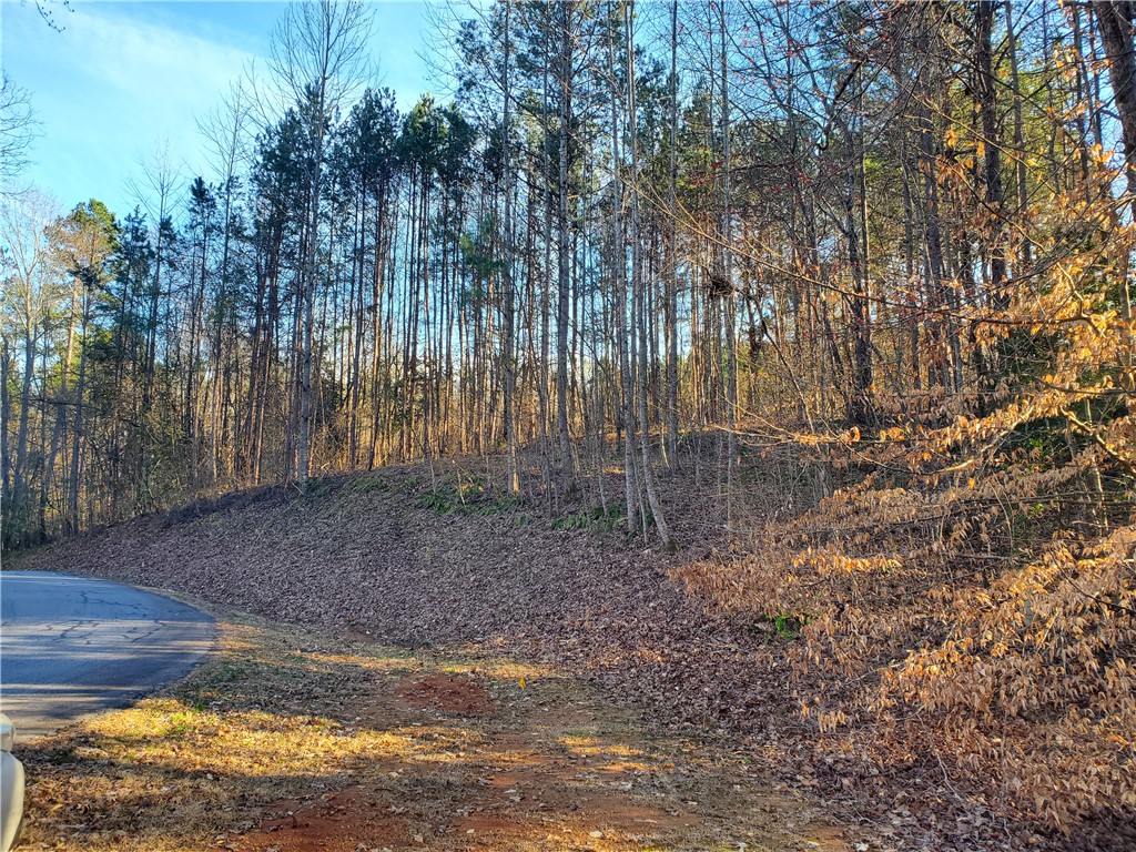 27-28 Talons Ridge Road Seneca, SC 29672 - Photo 4 of 8 Gallery Image 4