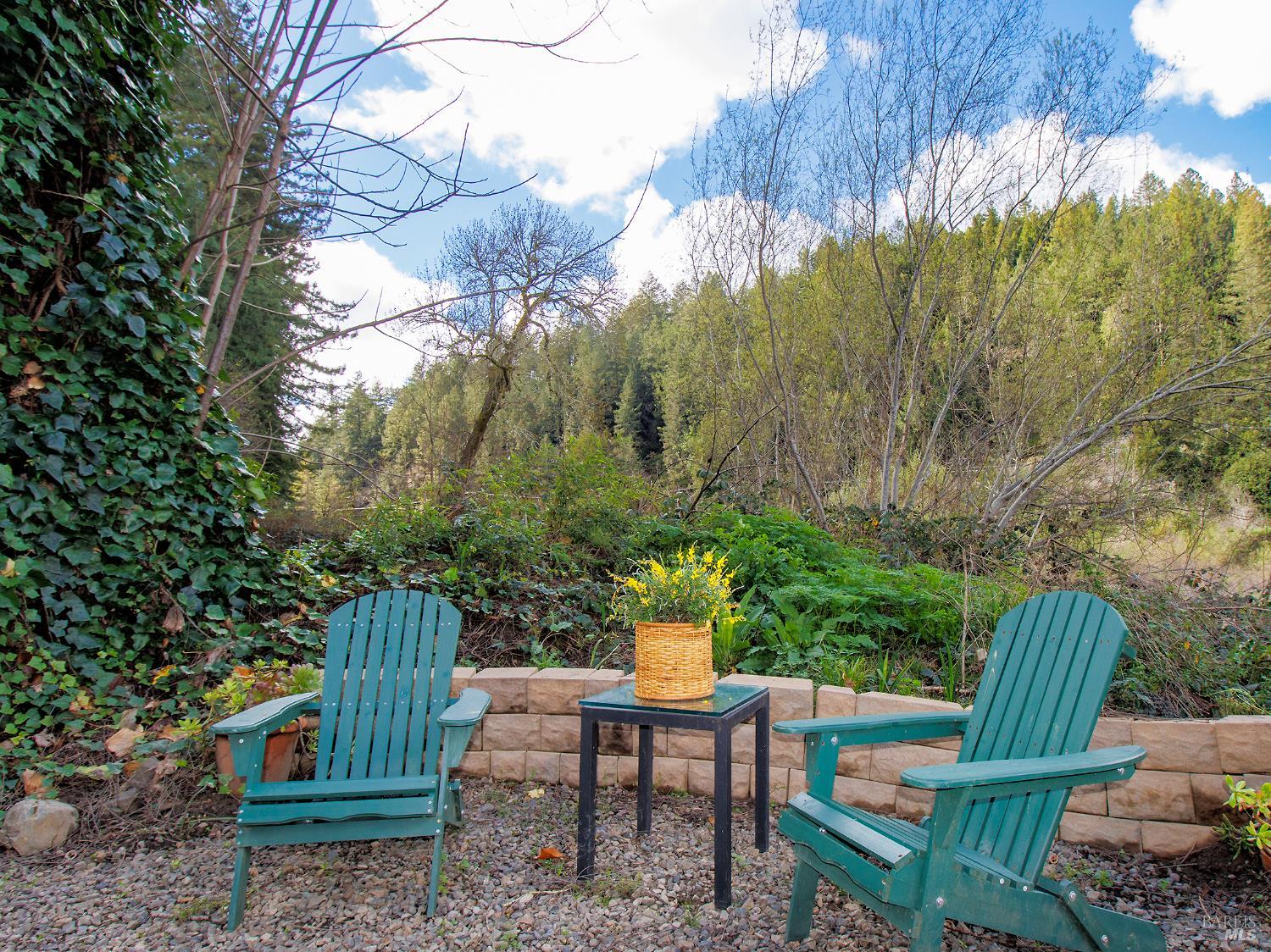 16620 Guernewood Road Guerneville, CA 95446 - Photo 56 of 68 Back yard vistas.