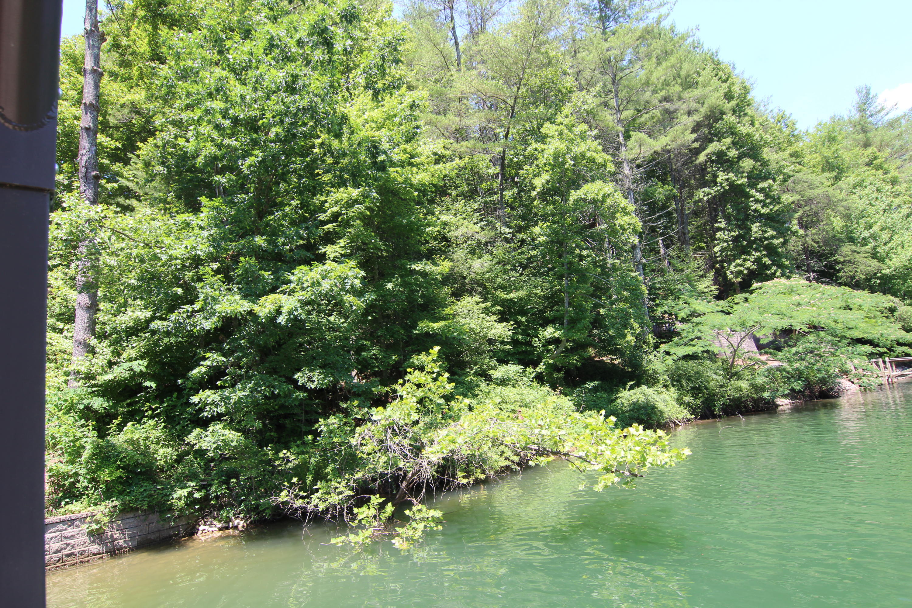 8 Oak Point Place, Unit 8 Butler, TN 37640 - Photo 4 of 5 IMG_8685