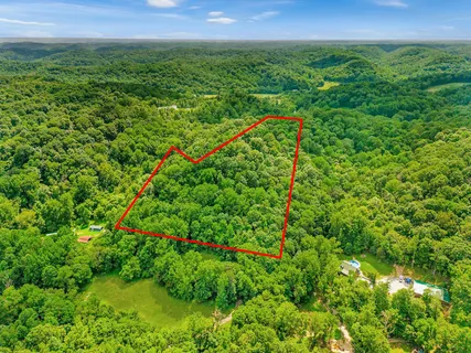 a view of a garden with a flower garden