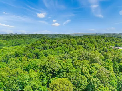 a view of a green field