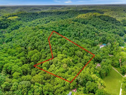 a view of a lush green forest with a lush green forest