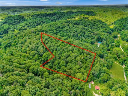 a close up of a plant