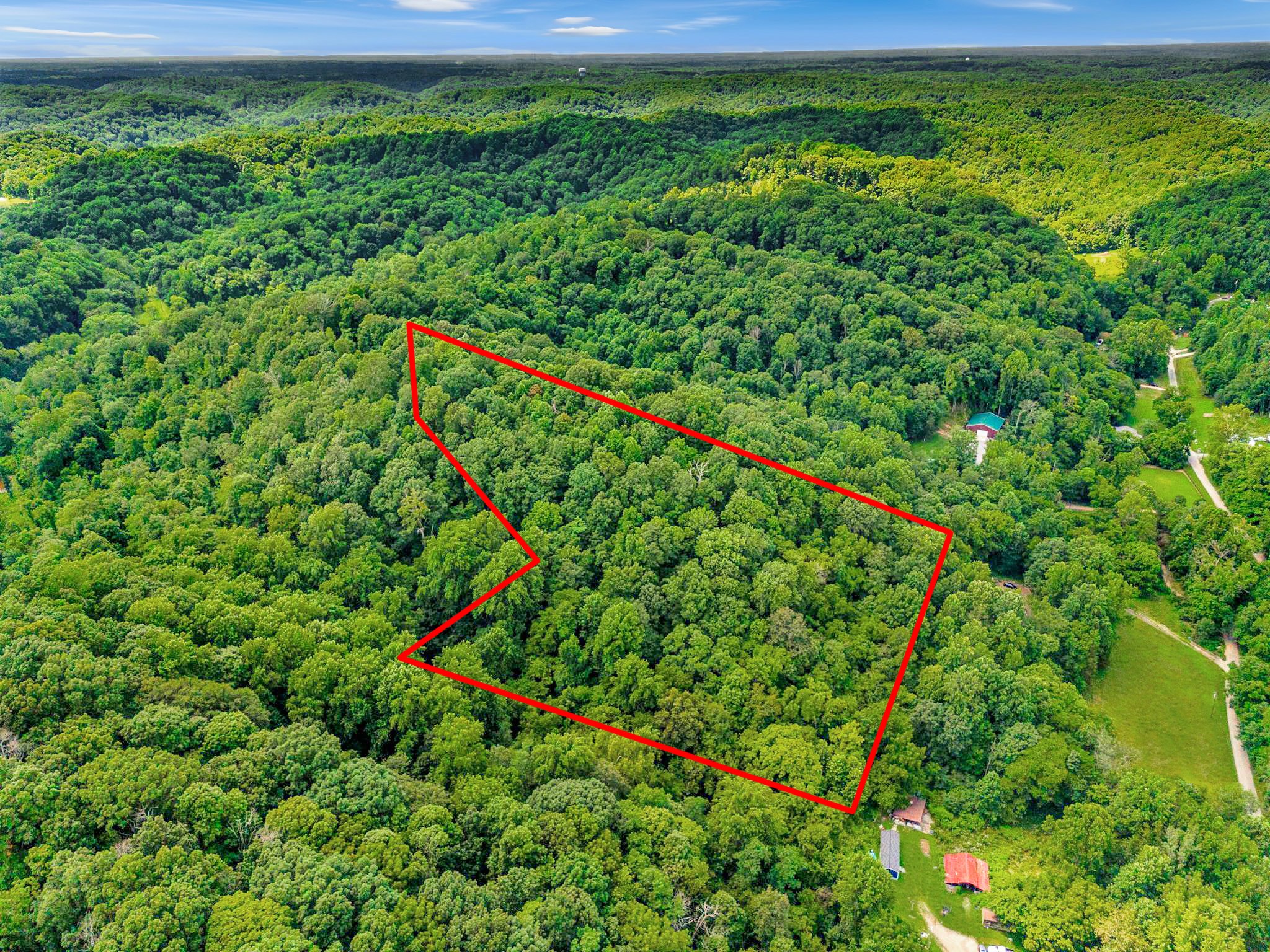 0 Tranham Road Whites Creek, TN 37189 - Photo 3 of 12 a close up of a plant